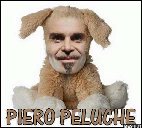 piero peluche